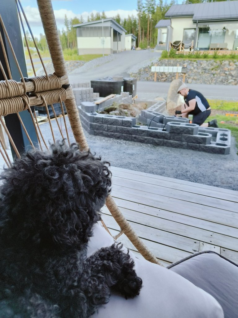 Miska vahtii rakentamista.