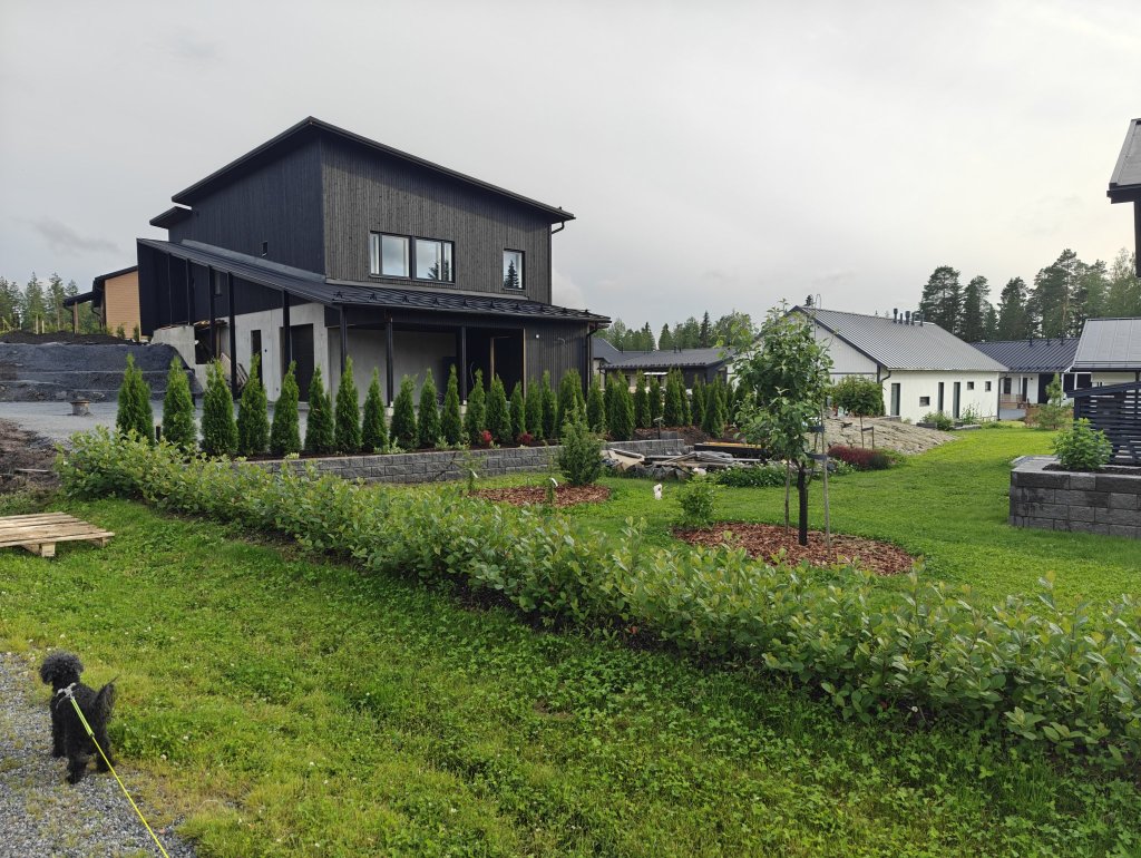 Nuotiopaikka heinäkuun alussa